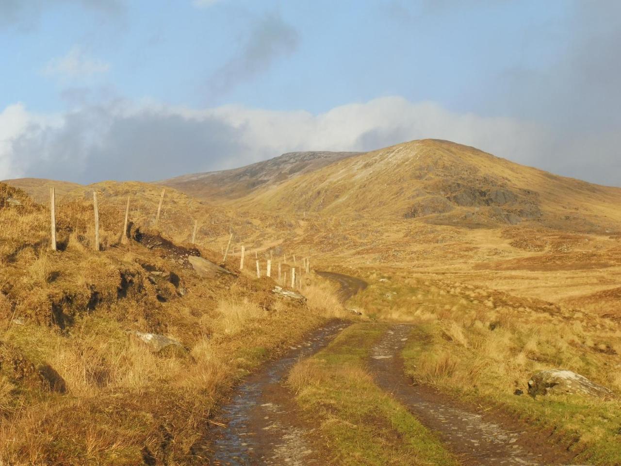 Island View House Bed & Breakfast Castletownbere Exterior photo